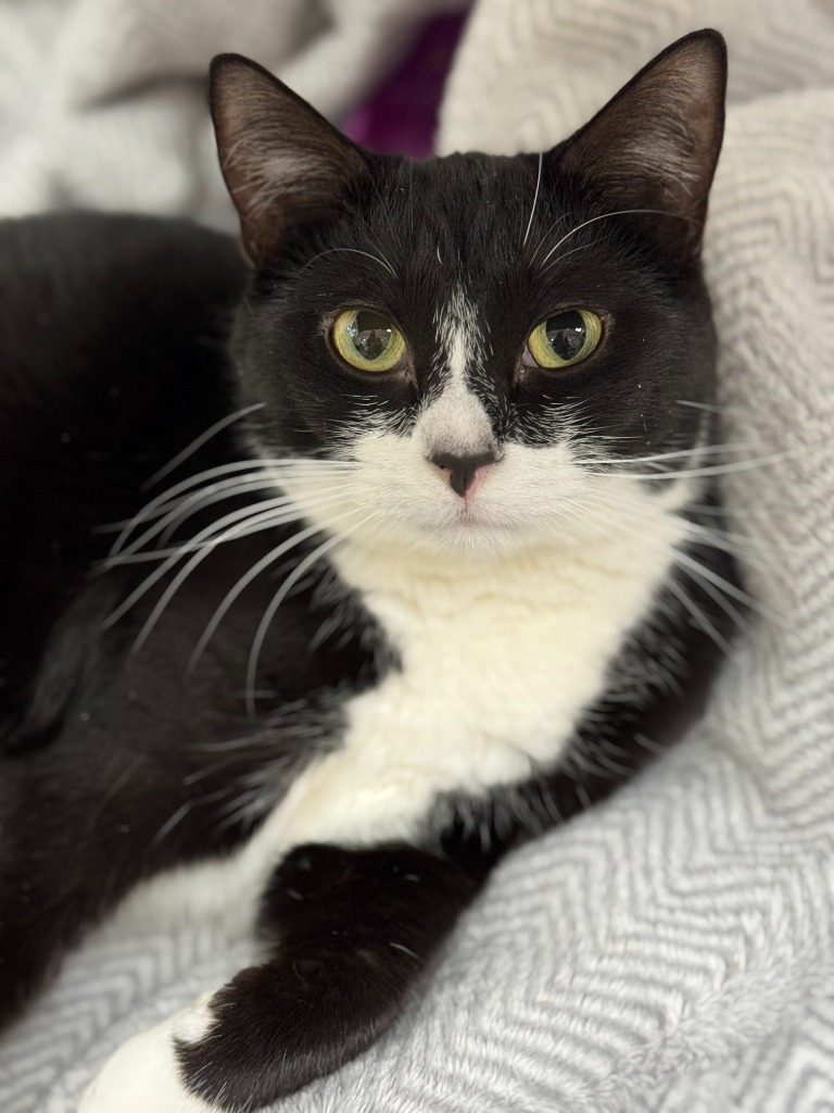Eleanor