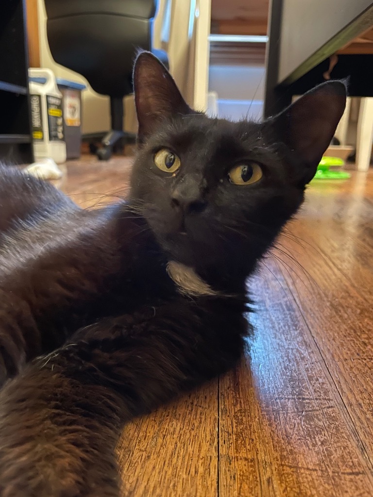 Jane