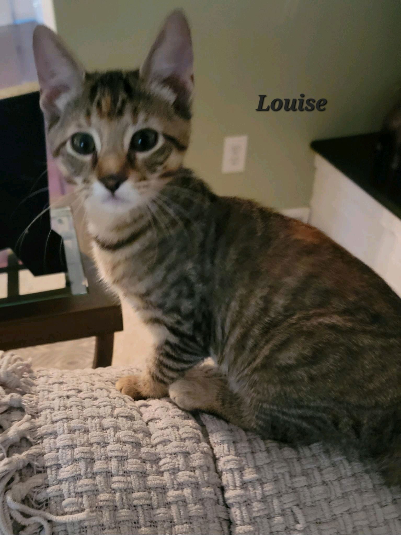 Louise (24-627)