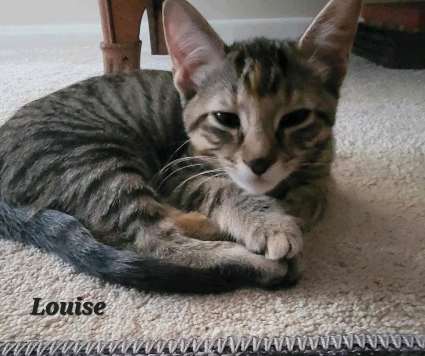 Louise (24-627)