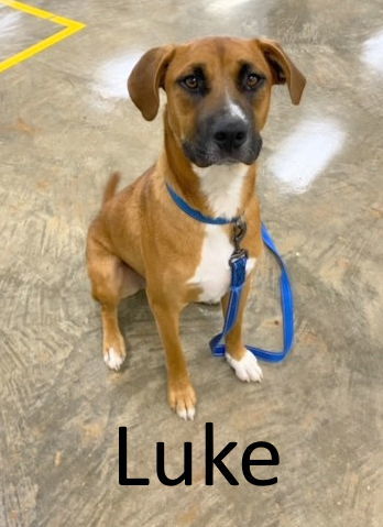 Luke 1