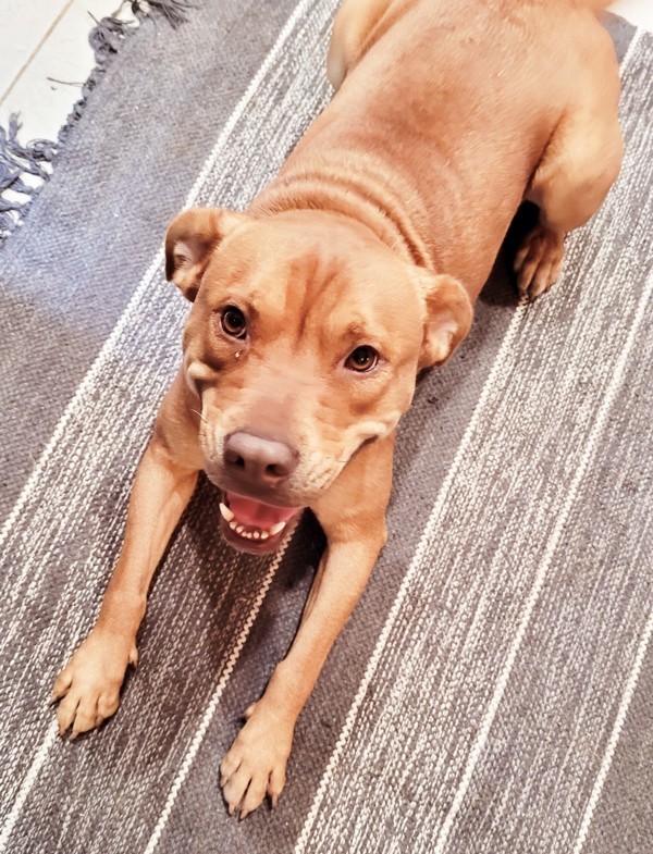 Rosie