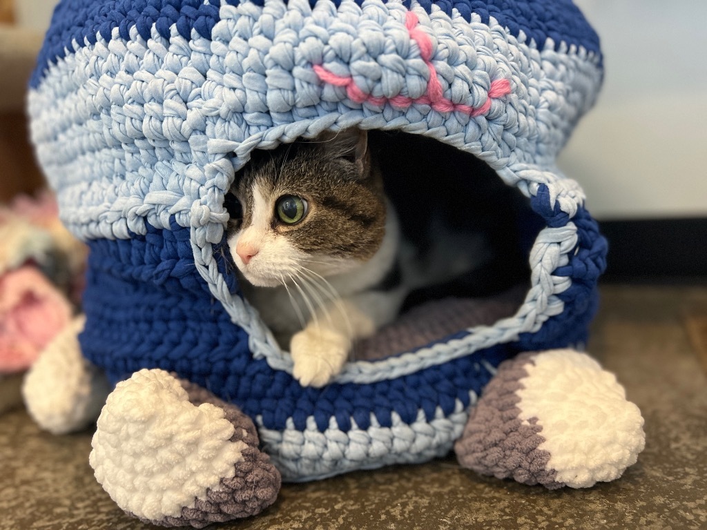 Sophia