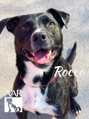 Rocco