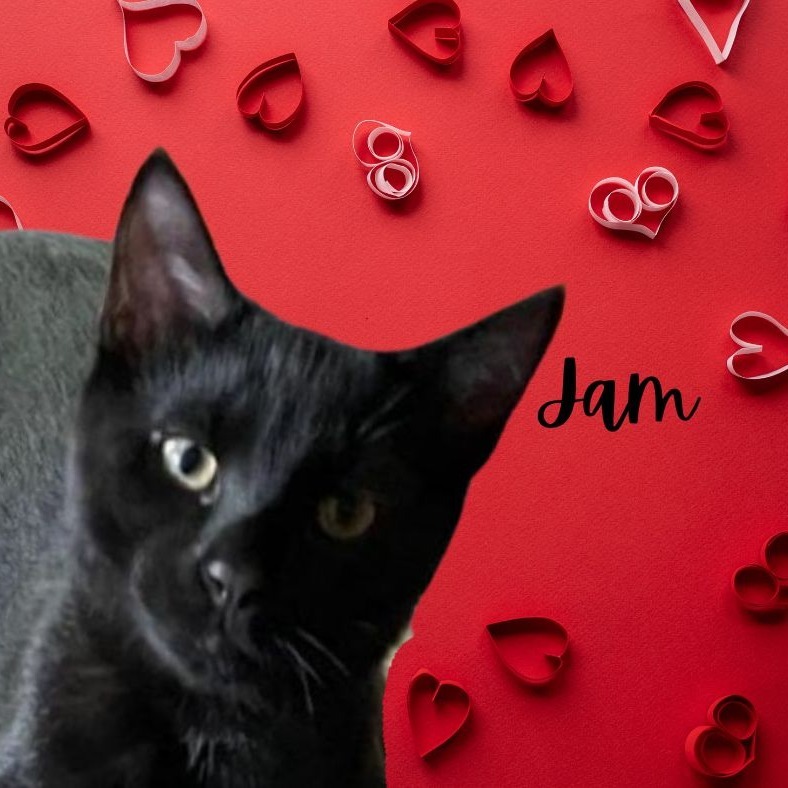 Jam