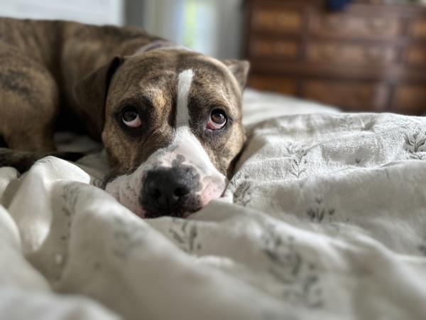 Barkley