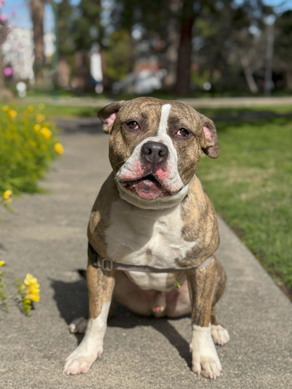 Barkley
