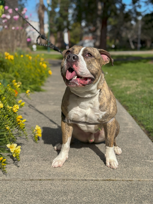 Barkley