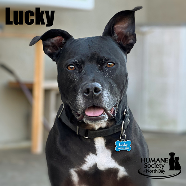 Lucky