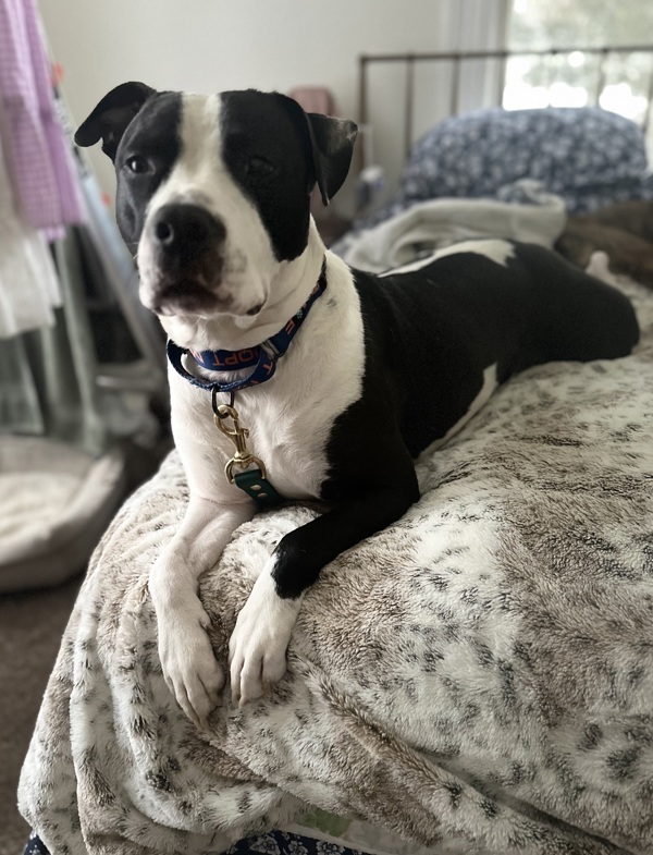 Simon