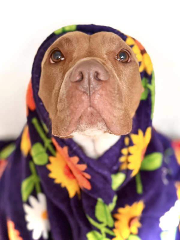 Nora