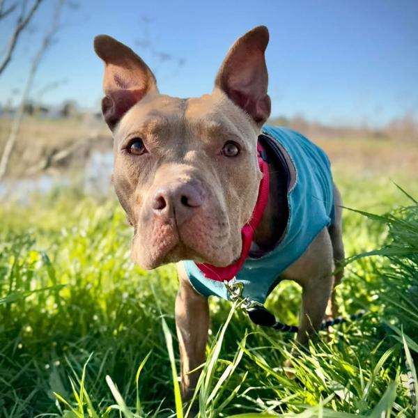 Nora