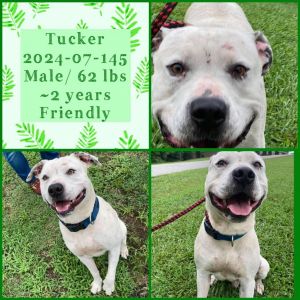 2024-07-145 *Tucker*