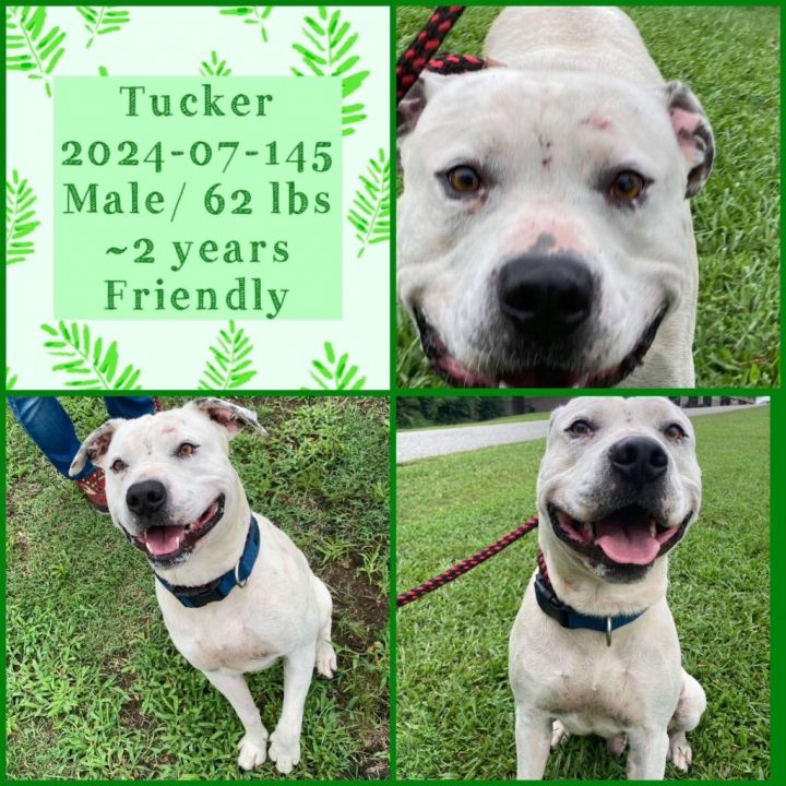 2024-07-145 *Tucker* 1