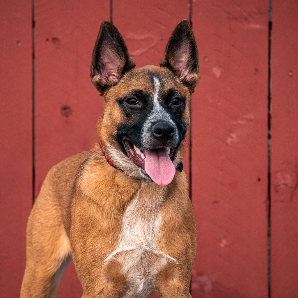 Tito
