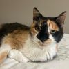 Jackie-Foster photo 1