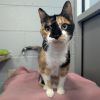 Jackie-Foster photo 4