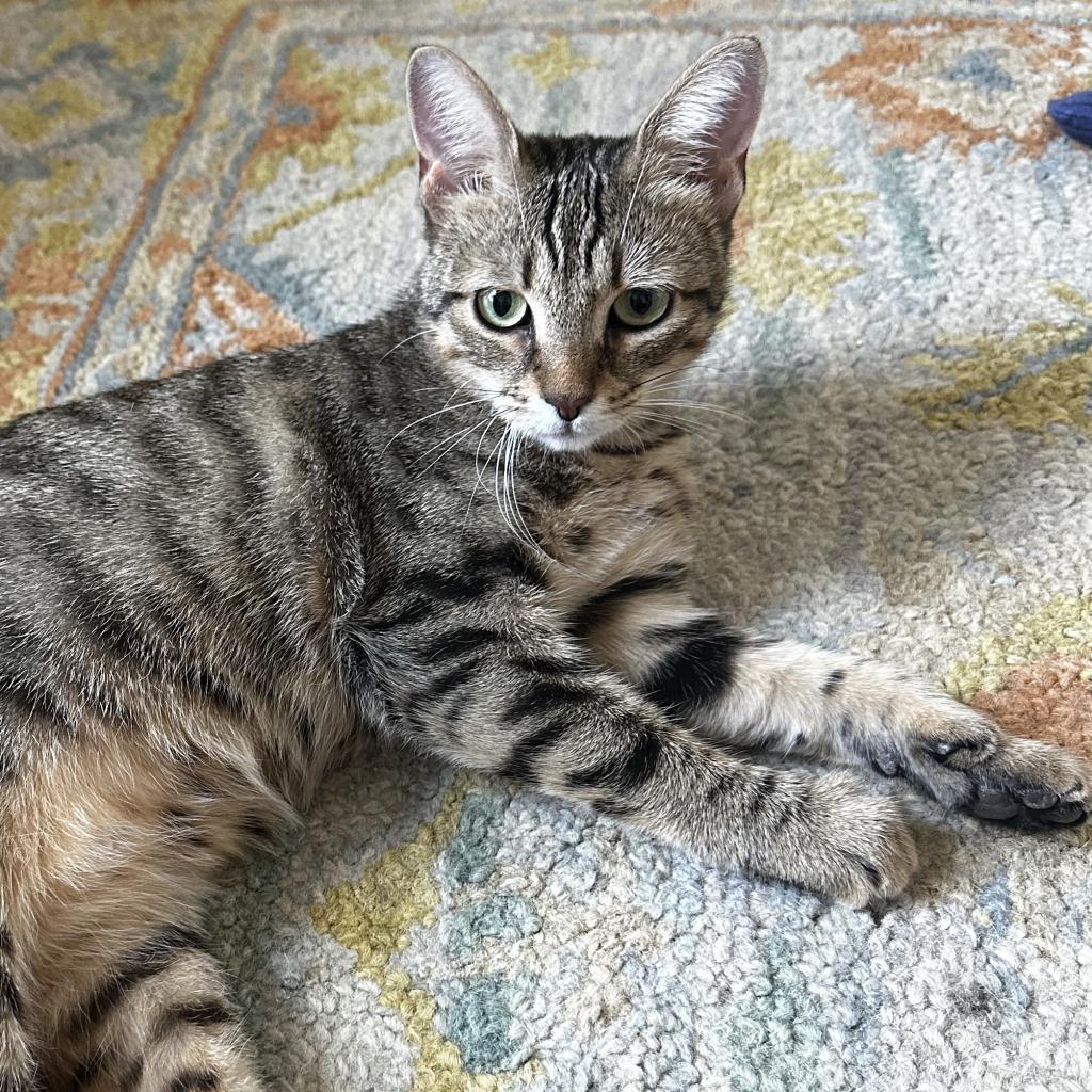 Bobbie