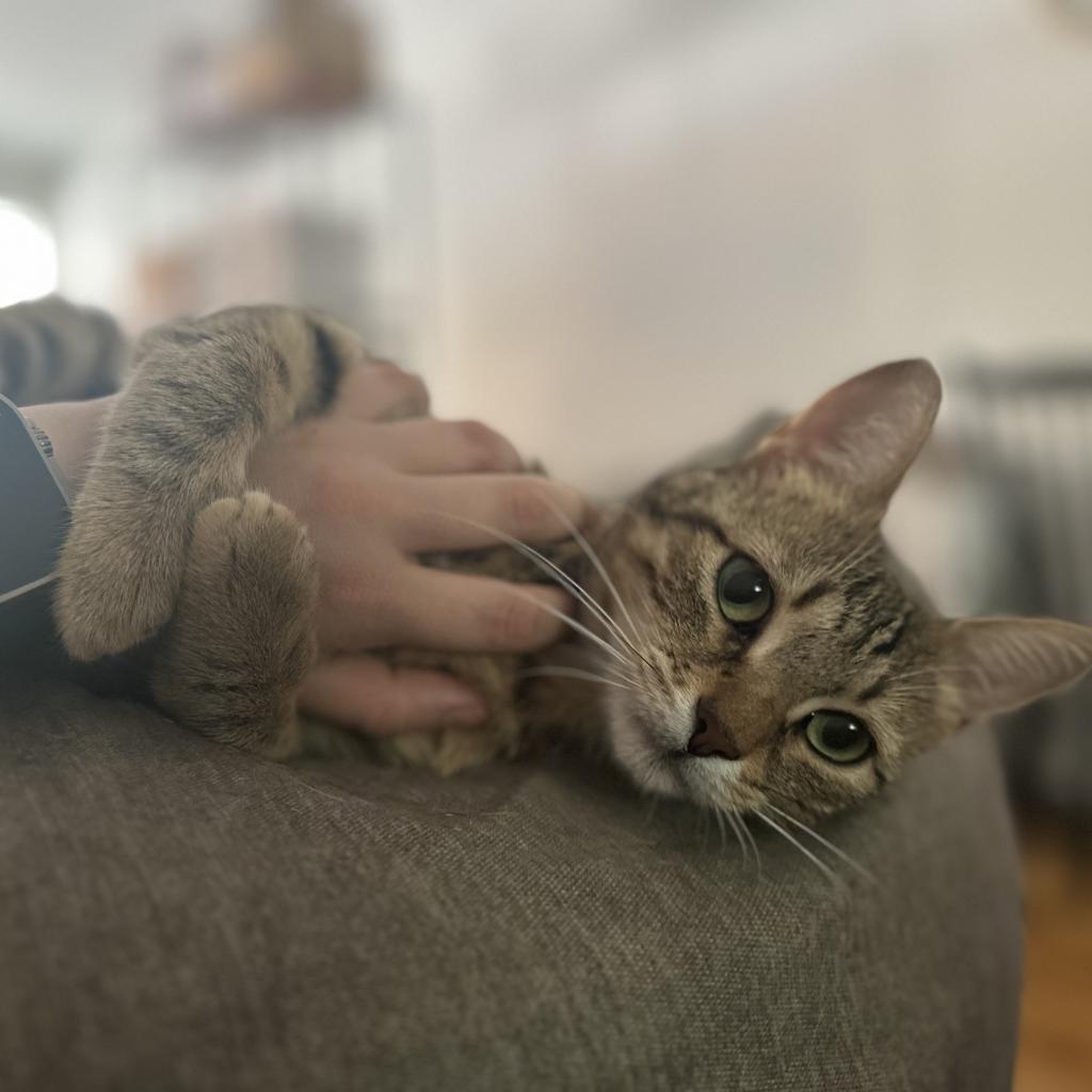 Bobbie