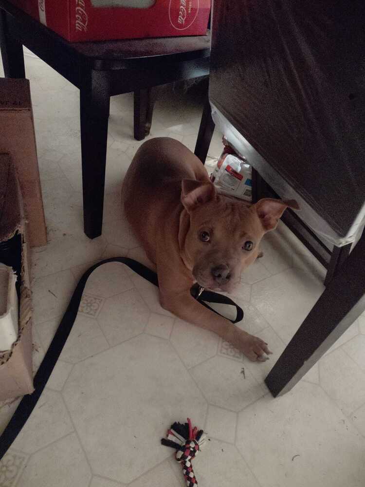 Zo