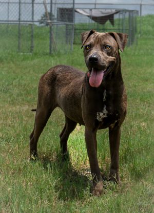 Trinity, Adult Female unknown