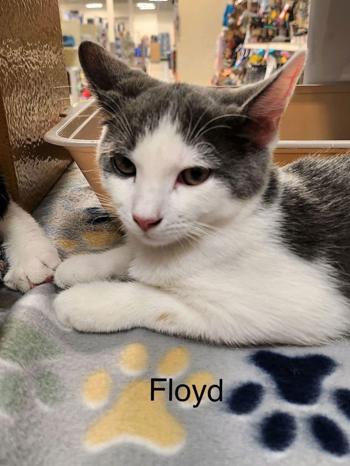 Floyd (24-604)