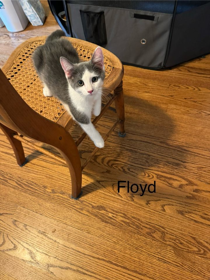 Floyd (24-604)
