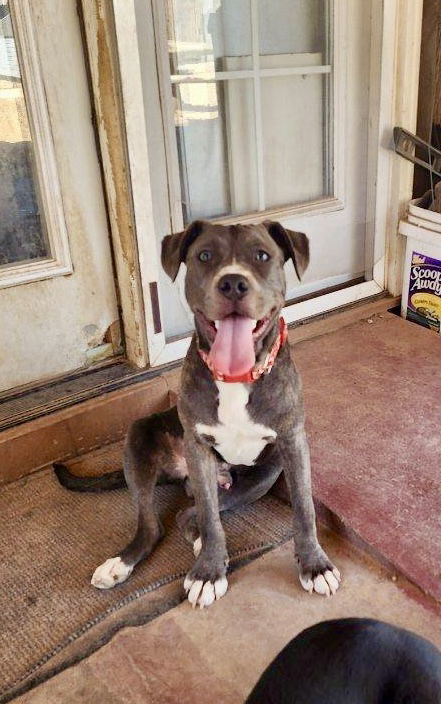 Jaxx