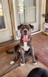 Jaxx photo 1
