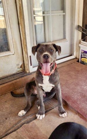 Jaxx, Young Male unknown