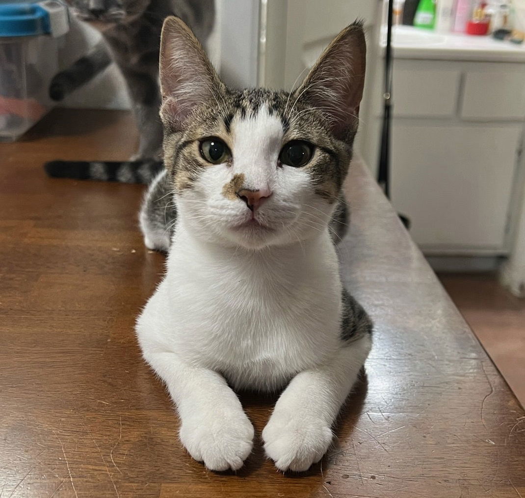 Chandler #mr-bright-eyes