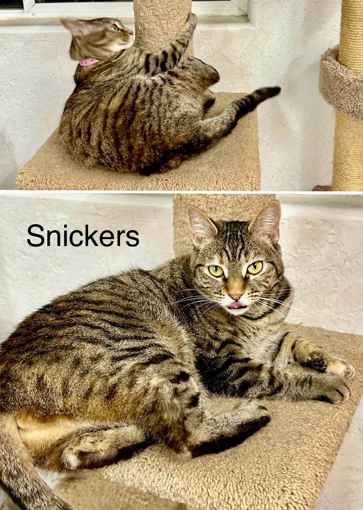 Snickers