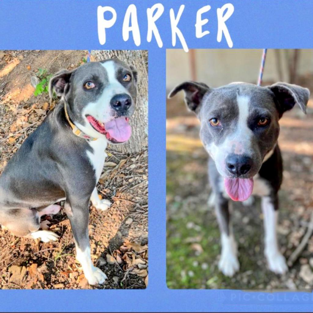 Parker