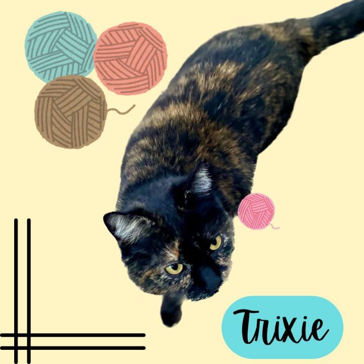 Trixie 2