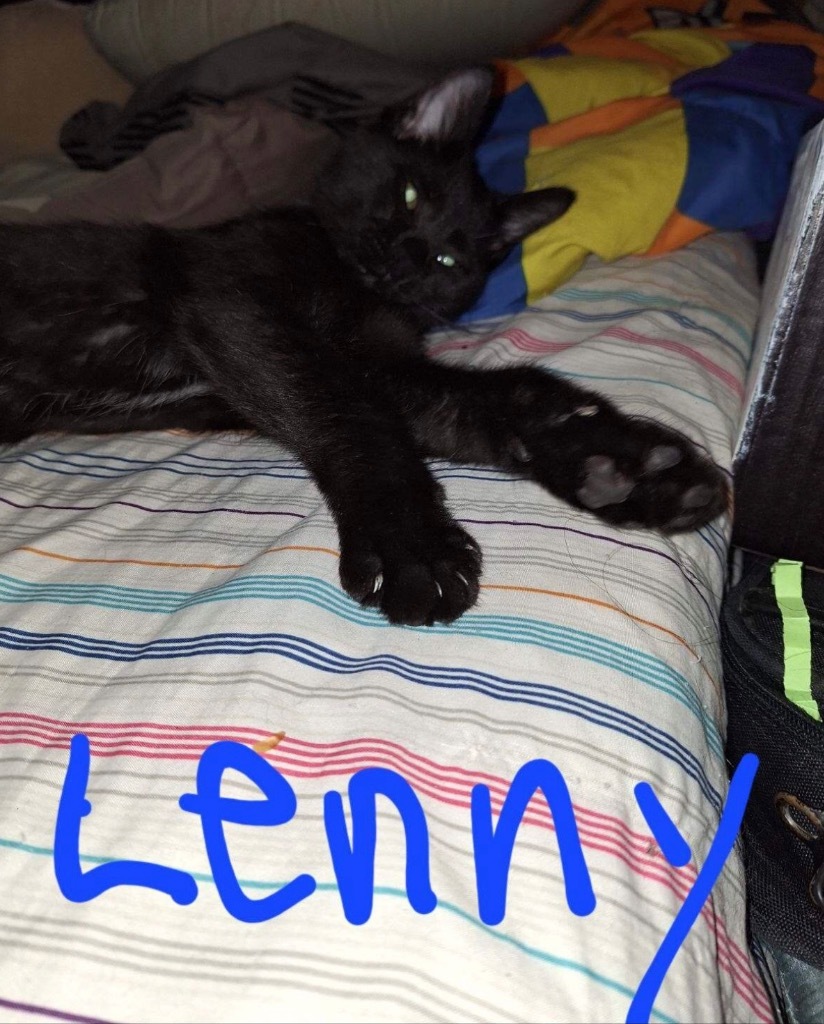 Lenny