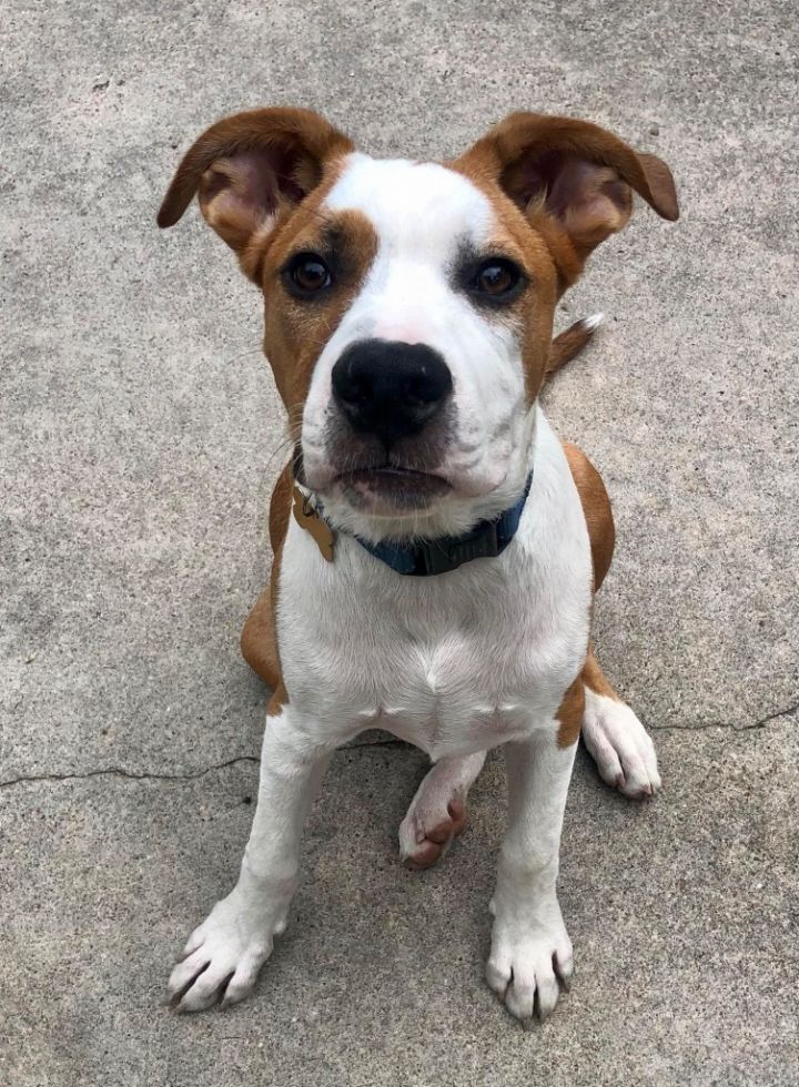 Jack 3