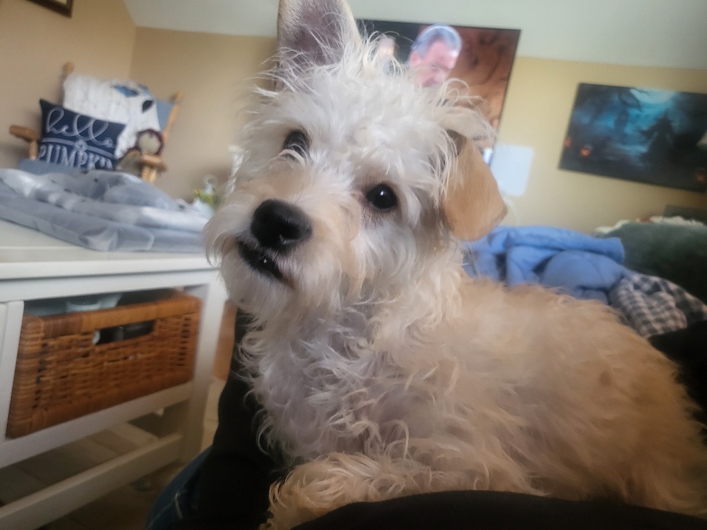 Max