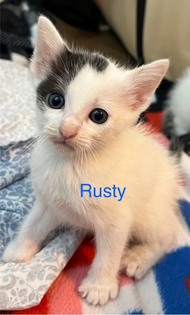 Rusty