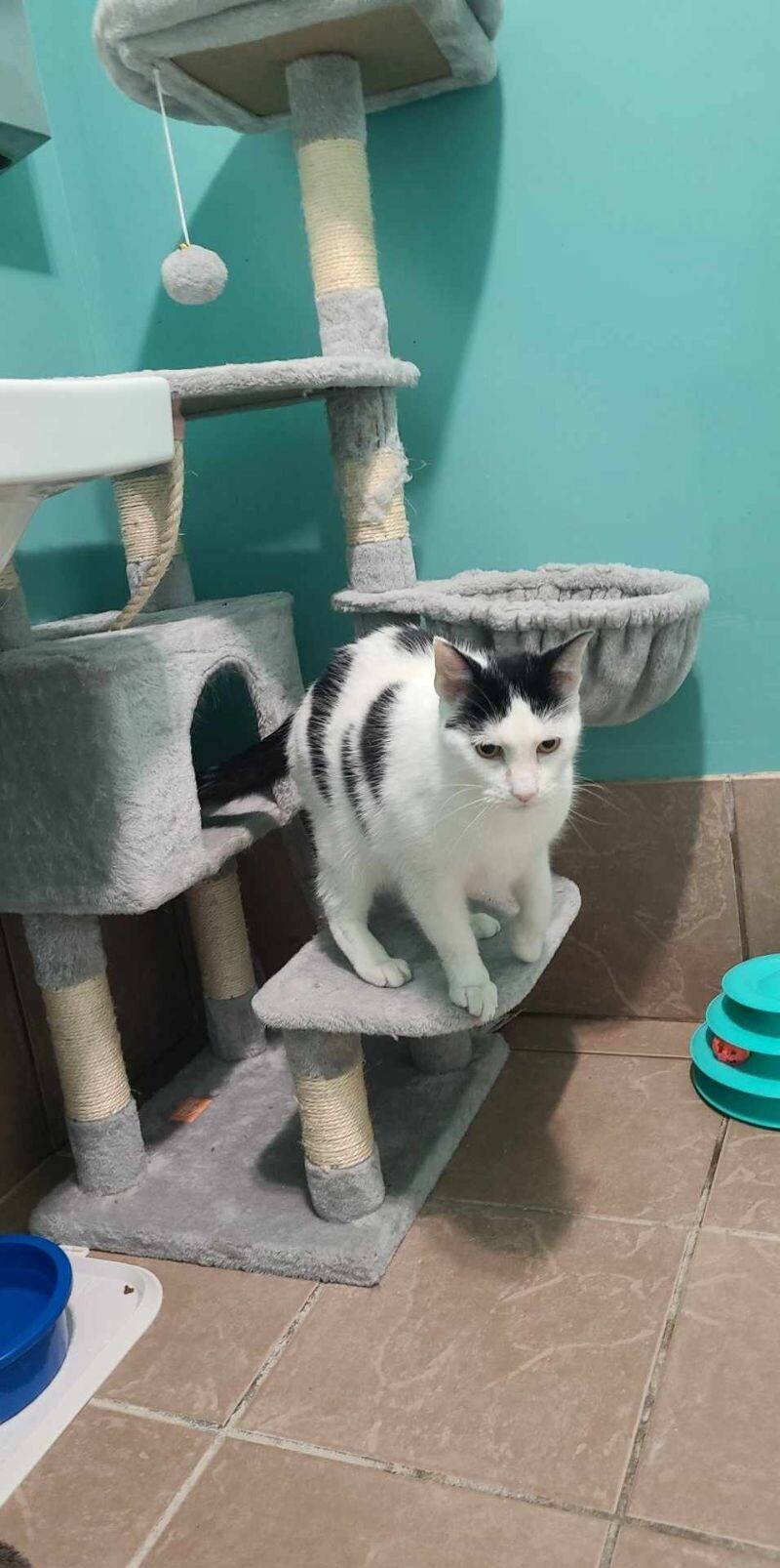 Pedro