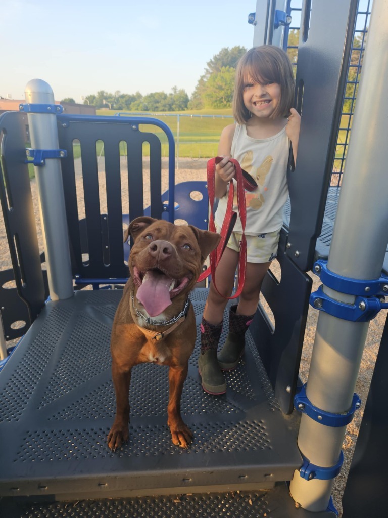 Reba, an adoptable Pit Bull Terrier, Mixed Breed in Sprakers, NY, 12166 | Photo Image 1
