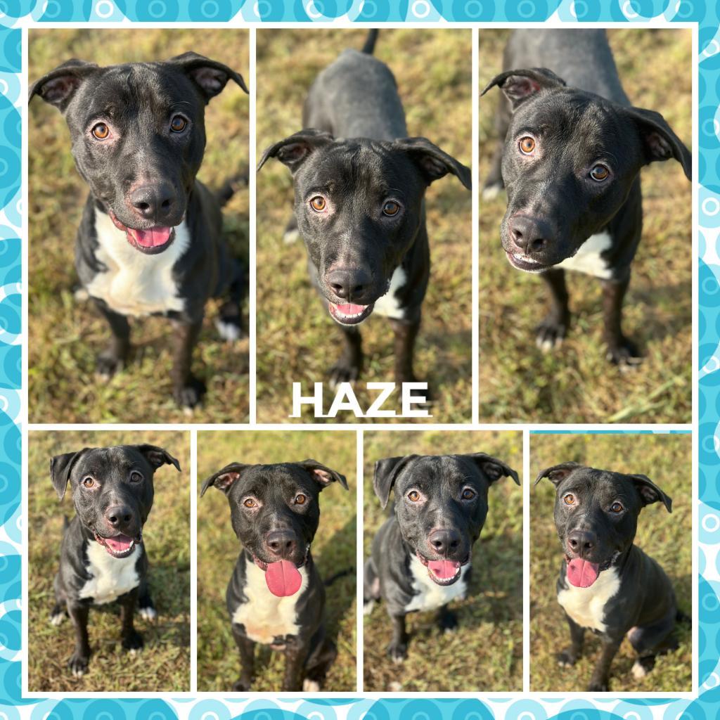 Haze