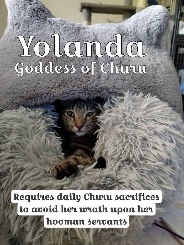 Yolanda - Goddess of Churu 2