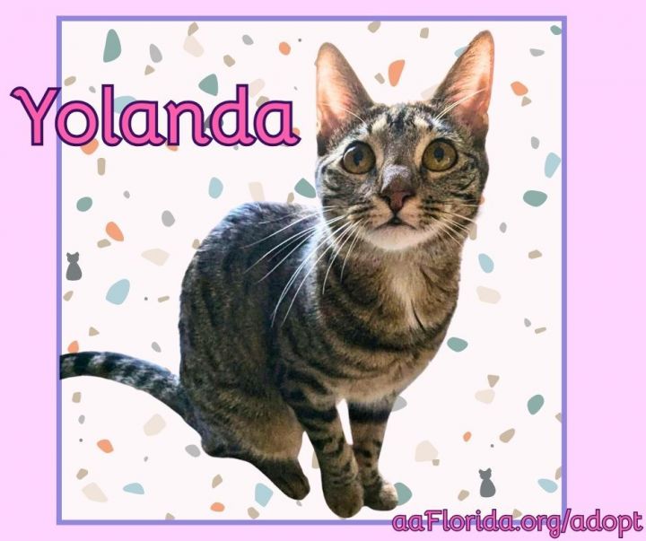 Yolanda - Goddess of Churu 3