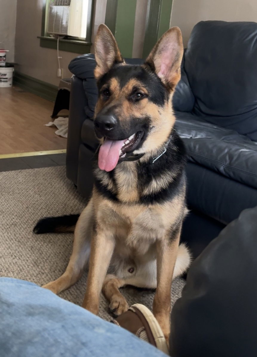Knox **COURTESY POST**