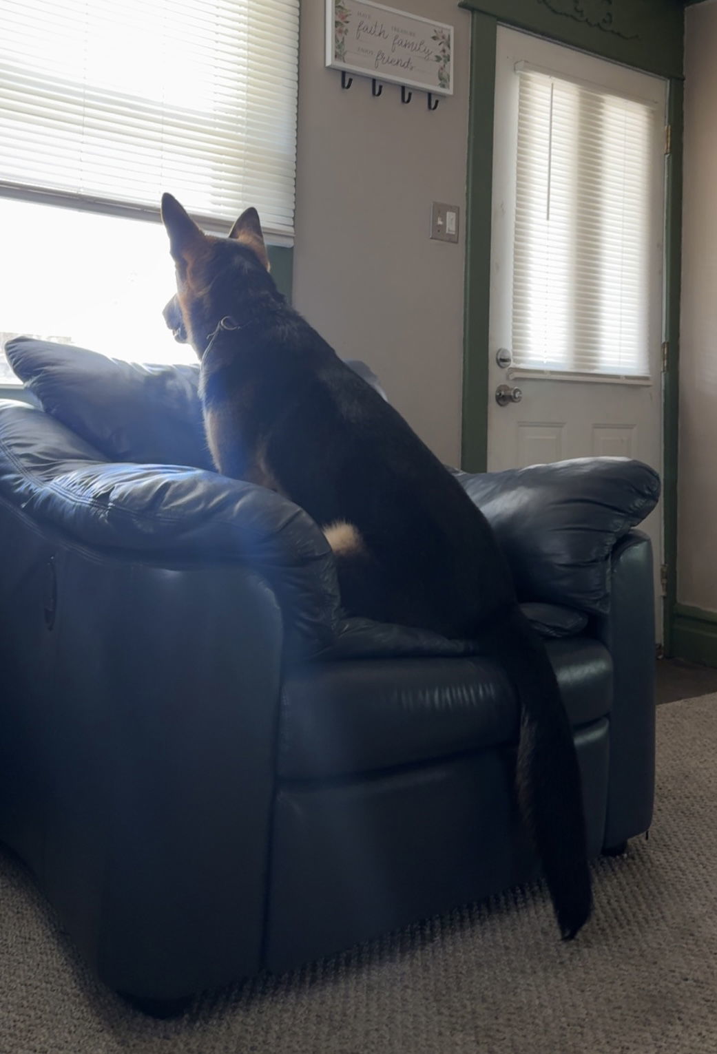 Knox **COURTESY POST**