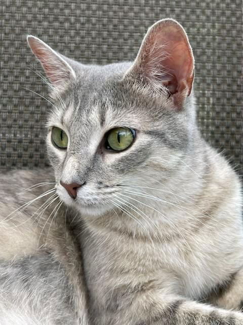 Kisses (24-358)