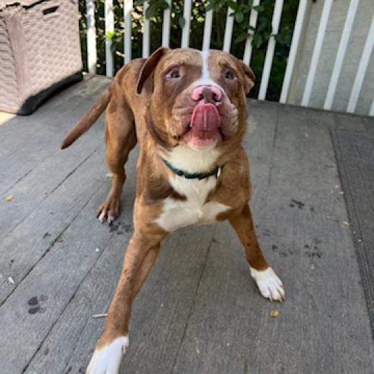Grover 07-3047