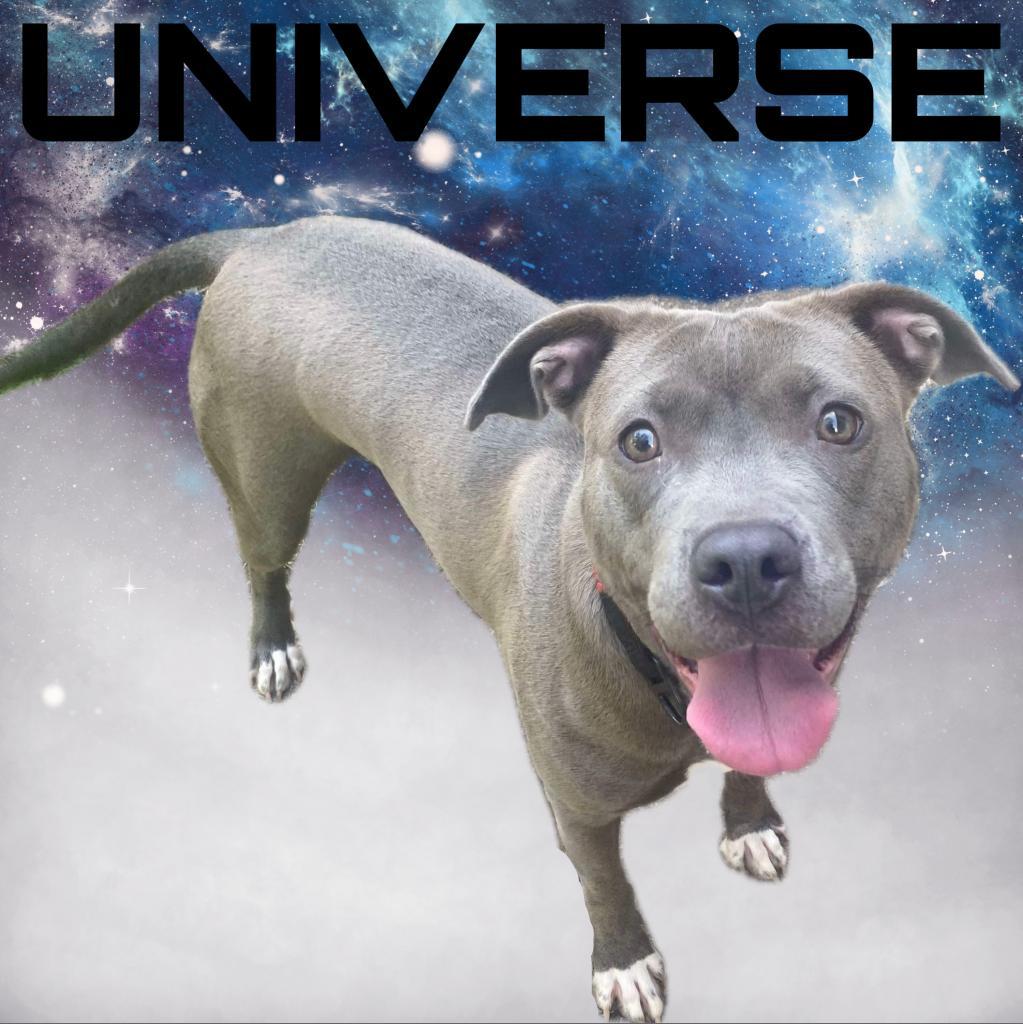 Universe