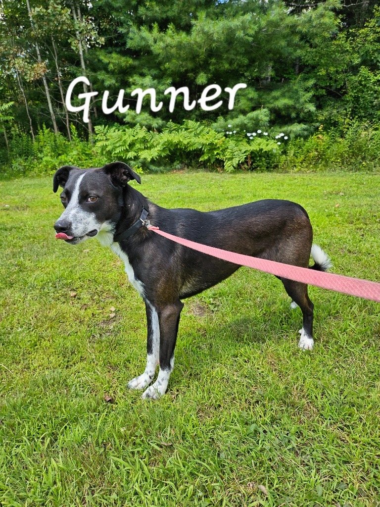 Gunner