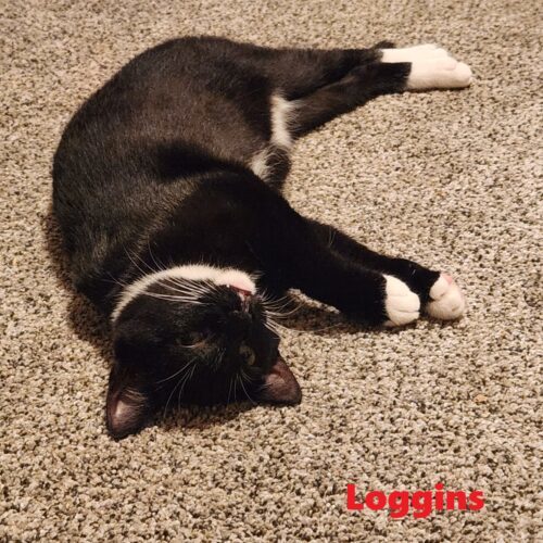 Loggins